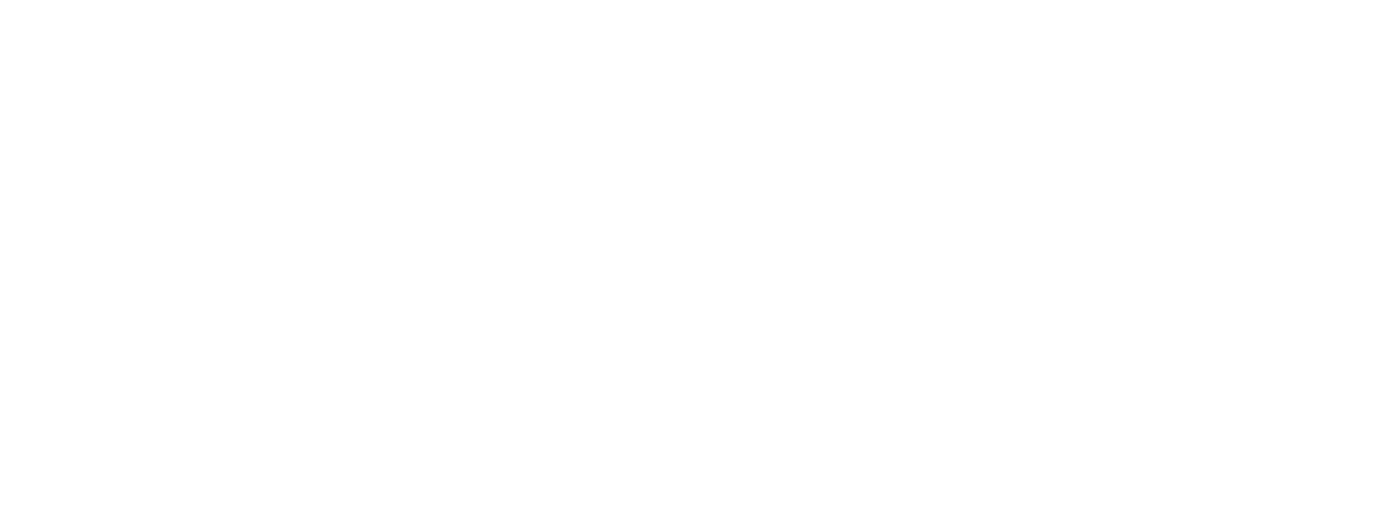 DigiSecuritas